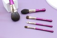5-Pieces Portable Makeup Brush Set
