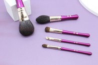 5-Pieces Portable Makeup Brush Set