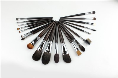 Luxury 20-Piece Blue Squirrel Hair & Ebony Wood Makeup Brush Set